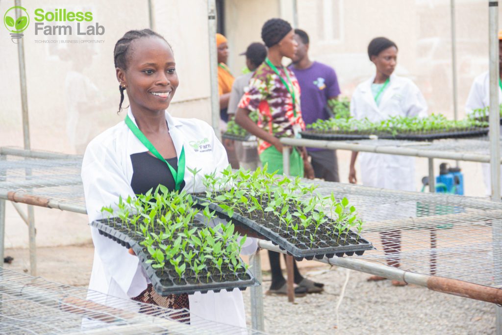 Development projects